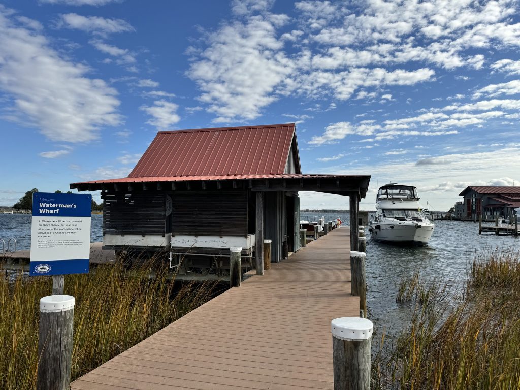 The Catch of the Day Guided Tour shares what it means to “follow the water” in every season on the Chesapeake, learning about seasonal harvests such as crabs, oysters, and waterfowl.