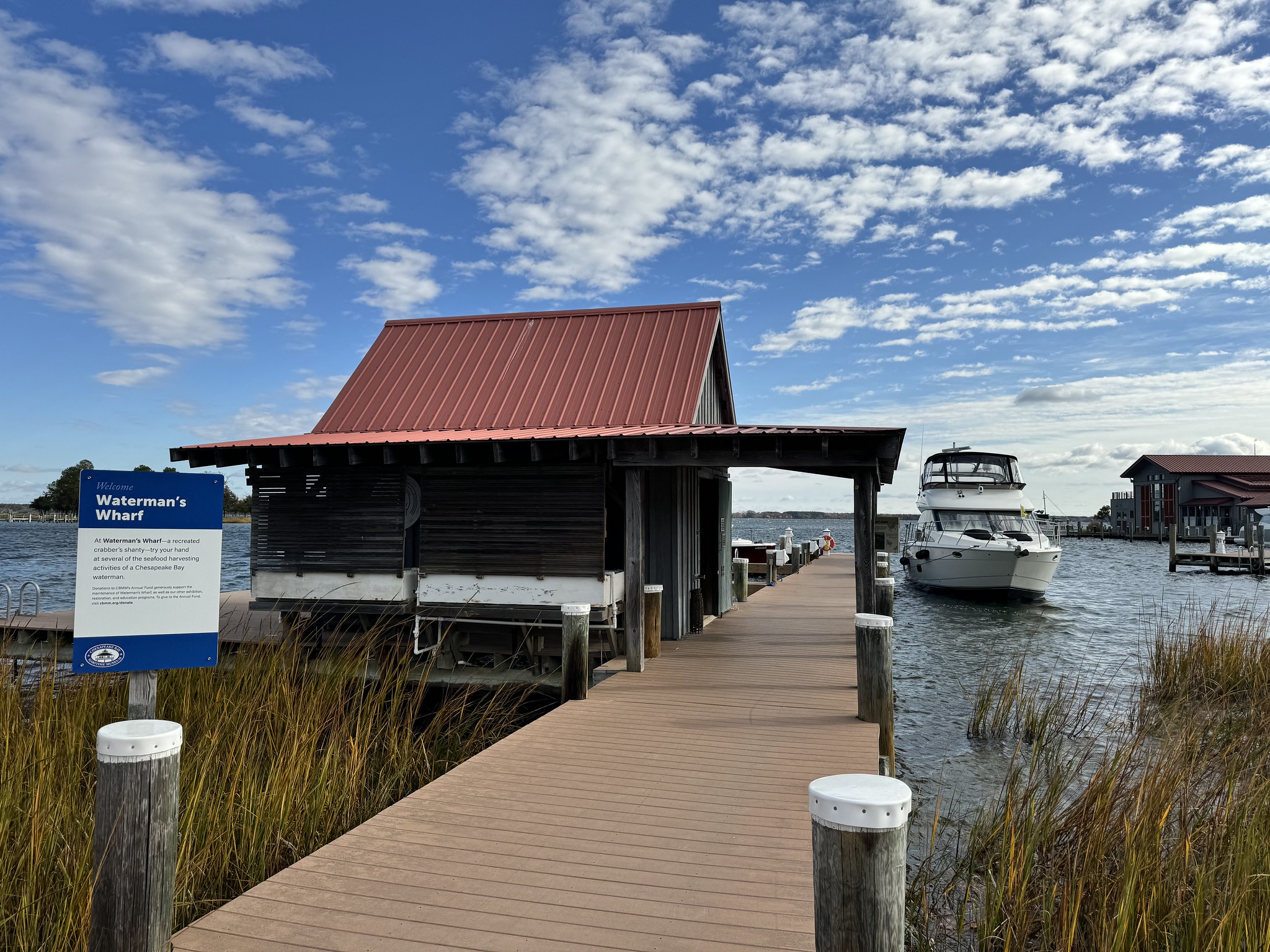 53343656202_4886762ebf_k - Chesapeake Bay Maritime Museum The Catch of the Day Guided Tour shares what it means to “follow the water” in every season on the Chesapeake, learning about seasonal harvests such as crabs, oysters, and waterfowl.
