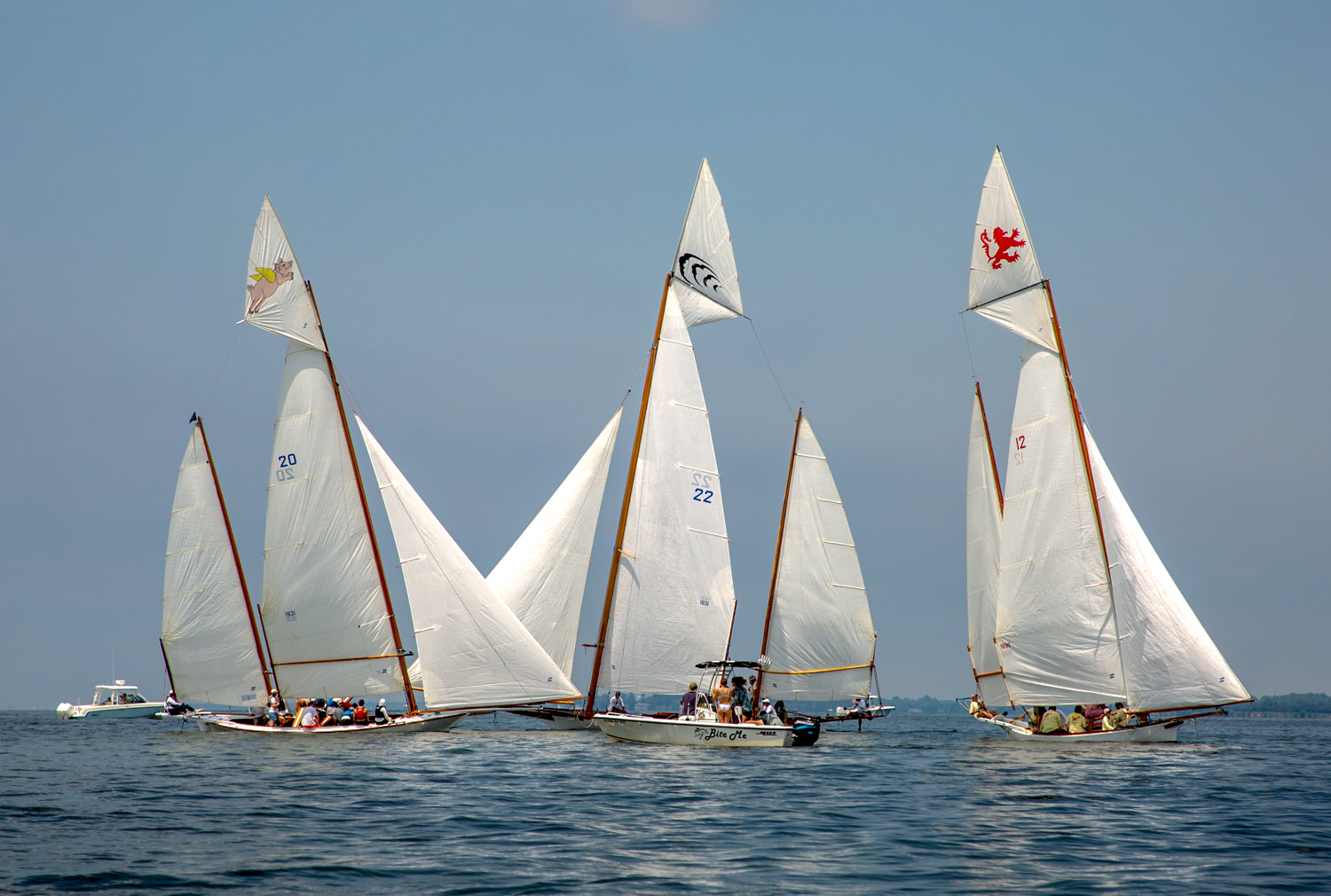Join CBMM to experience the quintessential Chesapeake pastime of log canoe racing.