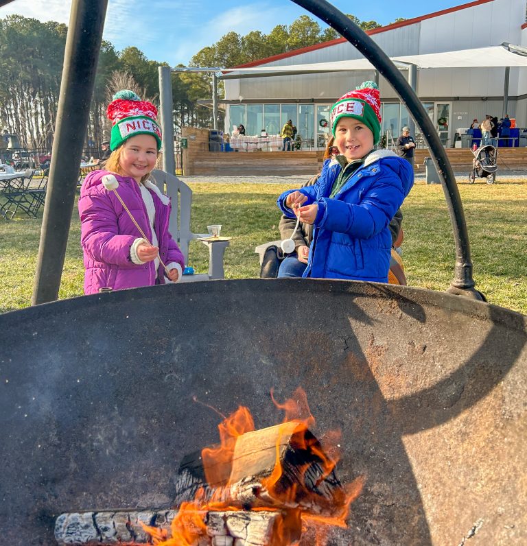 The festive fun includes hot cocoa and s'mores by our fire cauldrons on Fogg's Landing.