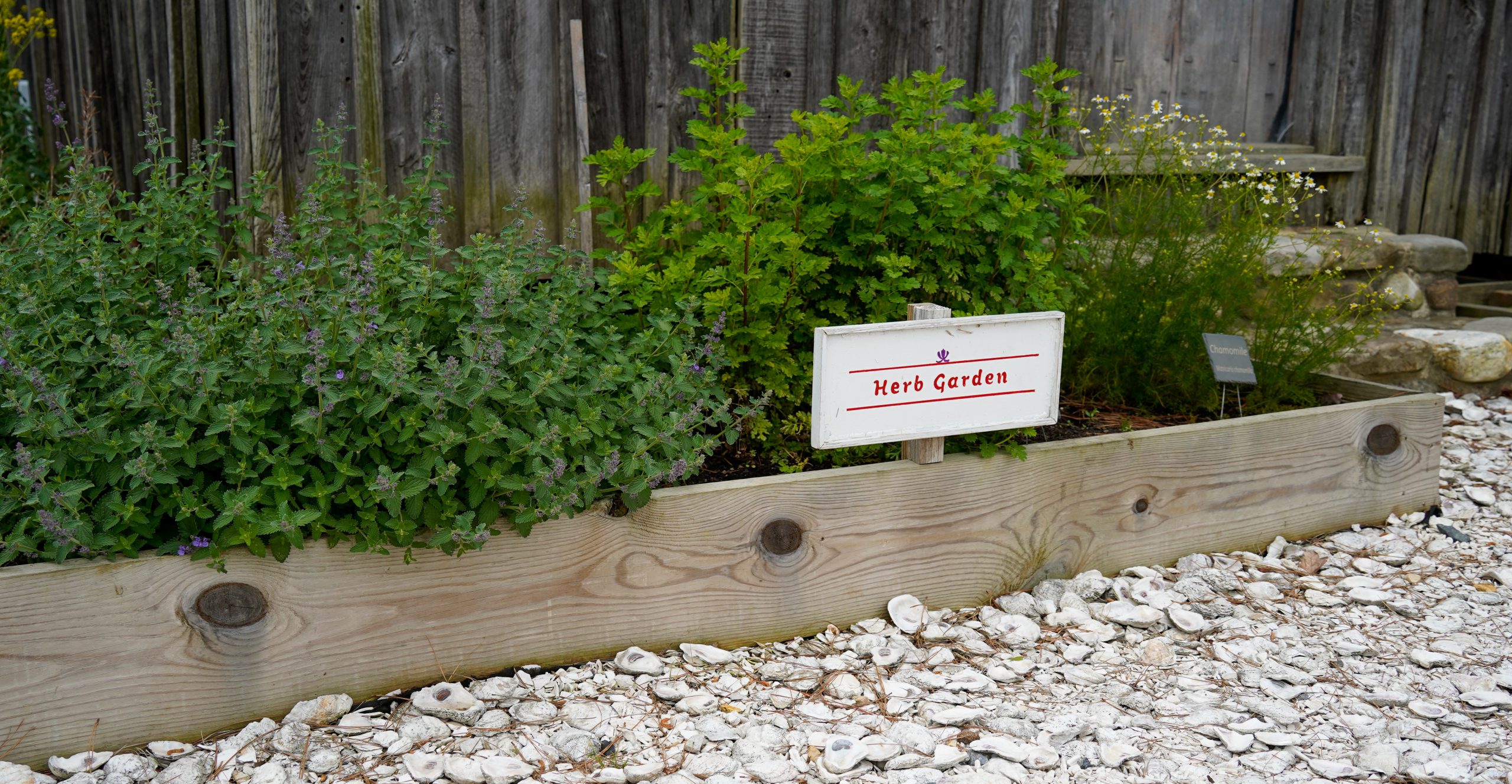 CBMM's Heirloom Garden in 2026.