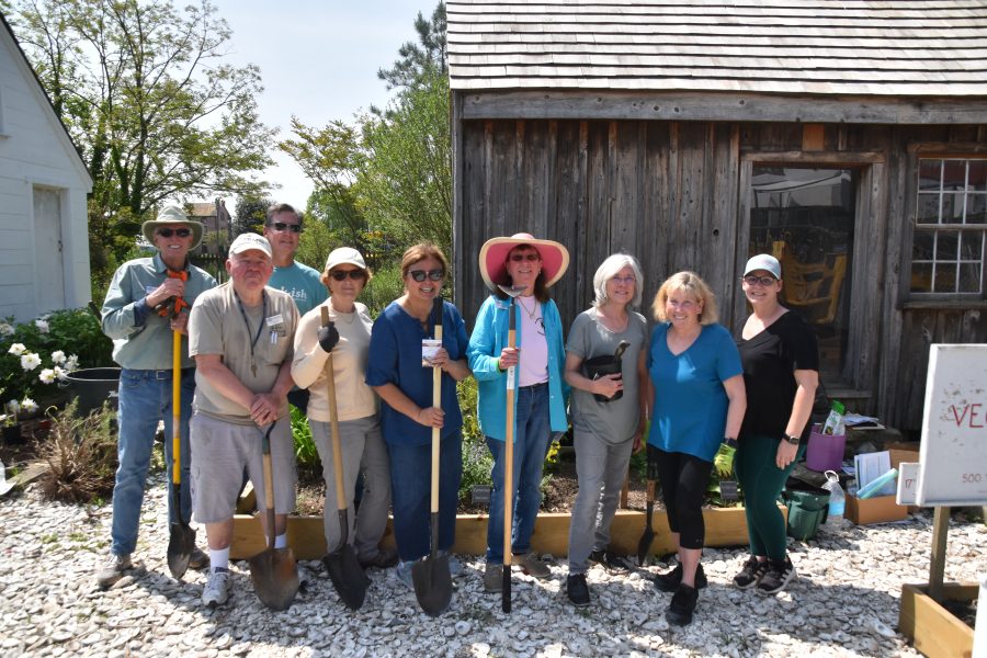 CBMM volunteers work on the Heirloom Garden.