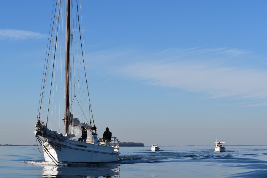 Skipjack Rosie Parks. Photograph by Tracey Johns, 2016. Collection of the Chesapeake Bay Maritime Museum.